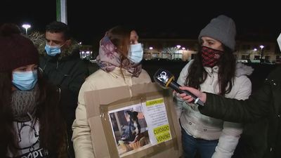 Más de 20 perros envenenados en San Martín de la Vega