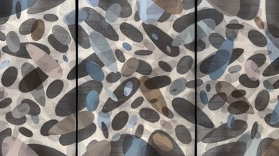 Prorrogada hasta febrero la muestra de grabado de Javier Aranguren en Tres Cantos