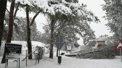Una vecina aún sin luz en Mingorrubio: "Estamos abandonados a la suerte"