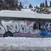 El vandalismo destroza varios autobuses de la EMT varados por la gran nevada en Madrid