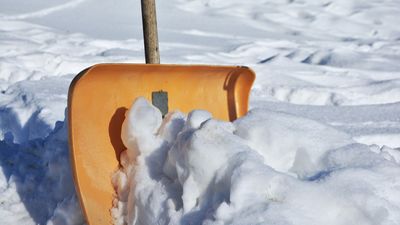 Aumenta la venta de palas en las ferreterías madrileñas