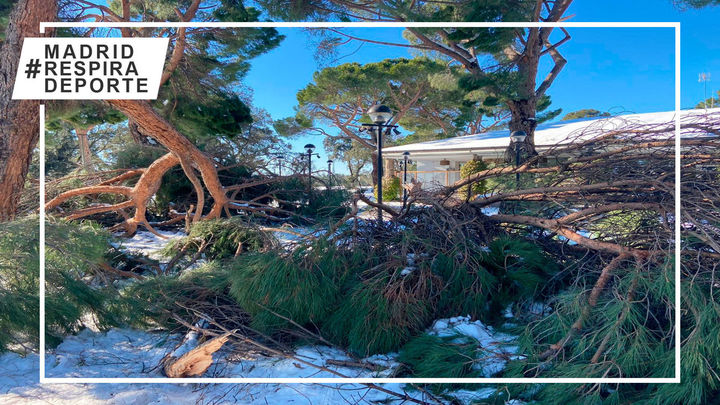 Derrumbamiento de estructuras y árboles caídos, el Club de Campo tras el temporal