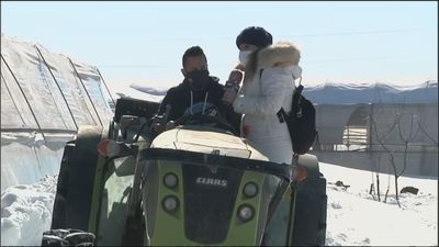 Filomena destroza el campo madrileño