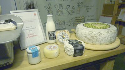 Nos colamos en ‘La Cabezuela’, la quesería artesanal de Fresnedillas de la Oliva