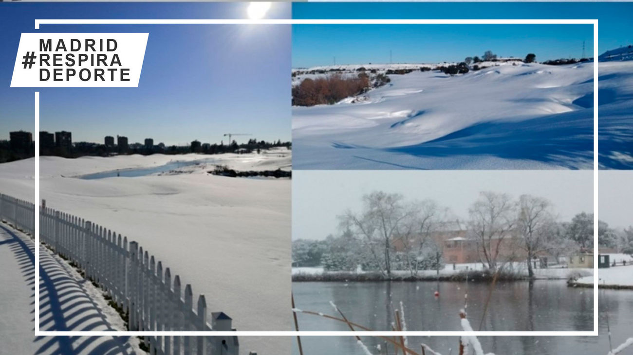 Del verde al blanco, así están los campos de golf madrileños