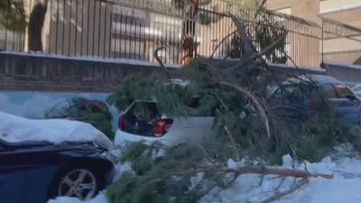Ciudades como Alcorcón o Alcalá de Henares también se plantean la declaración de zona catastrófica
