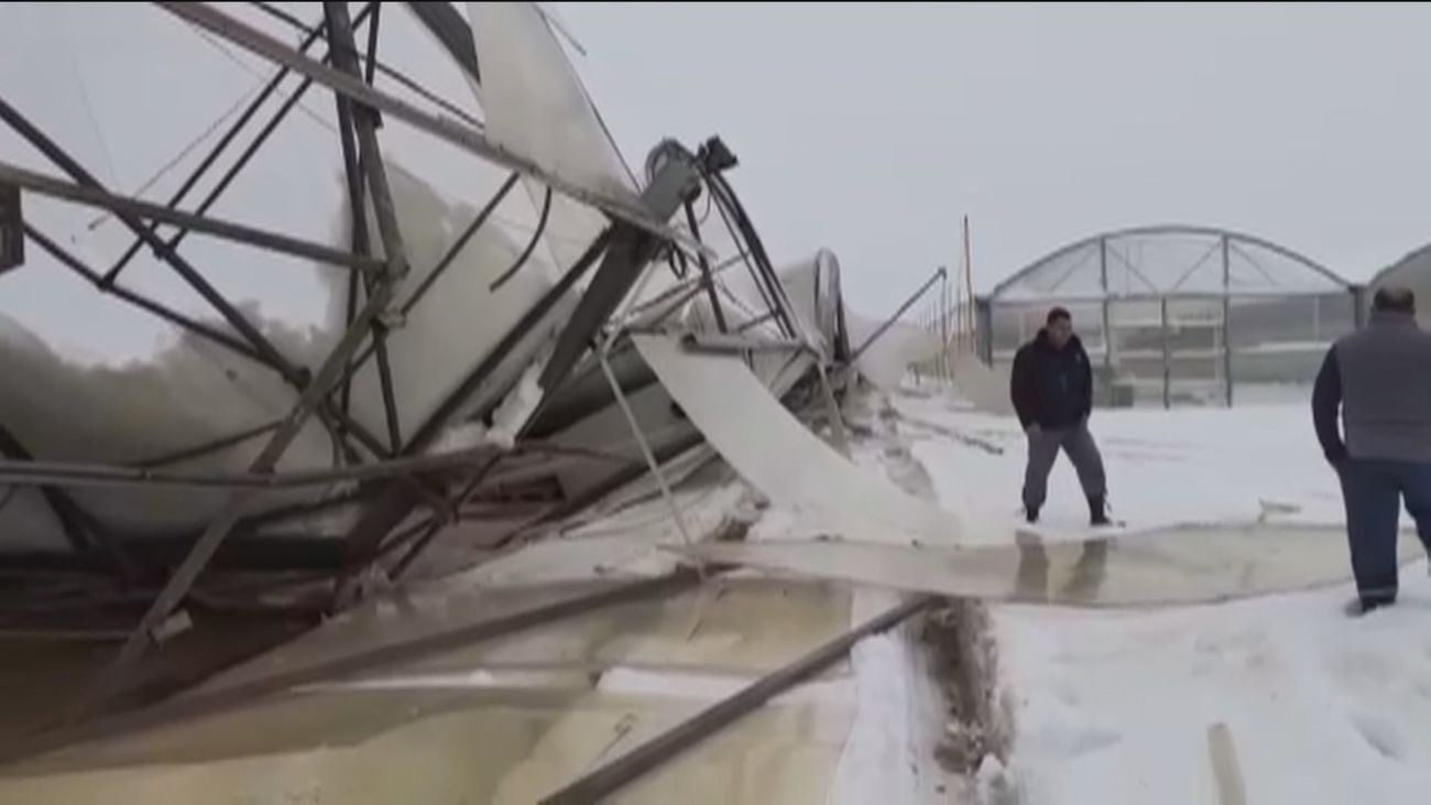 Agricultores y ganaderos de Madrid se llevan lo peor de Filomena