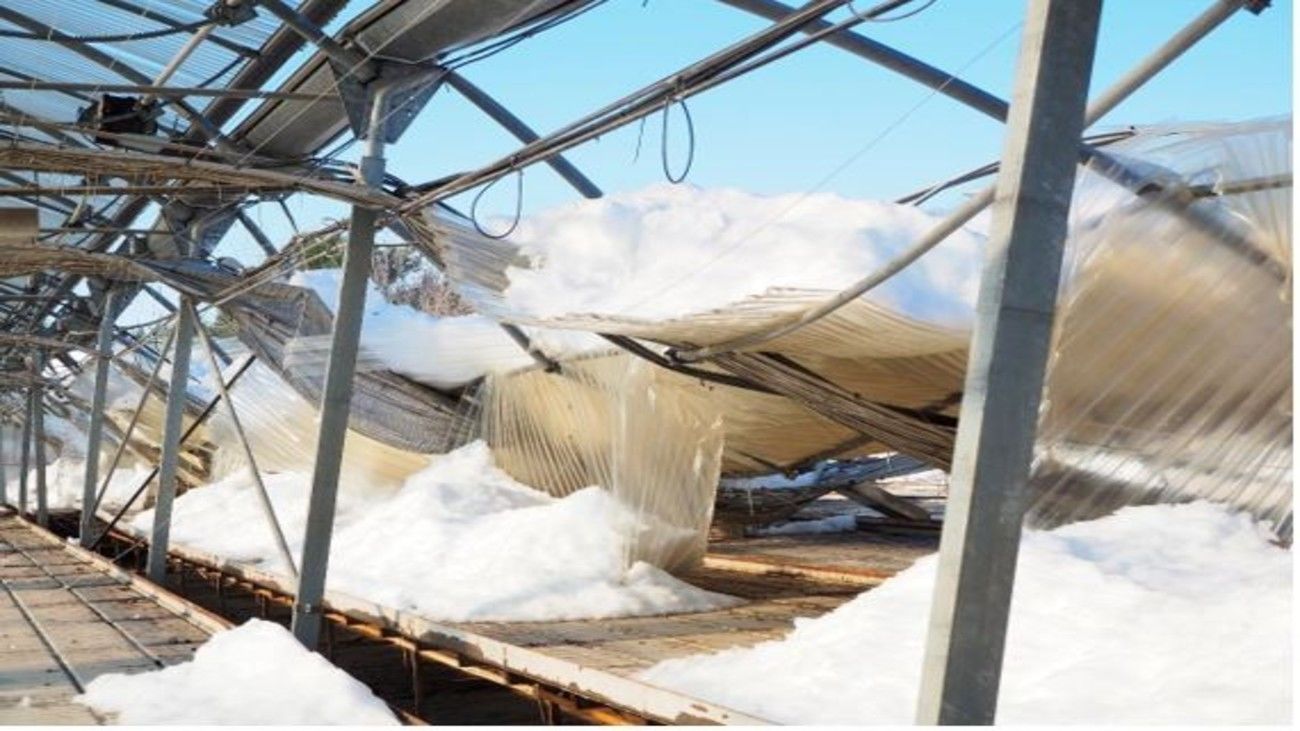 La Veguilla  de Villaviciosa de Odón