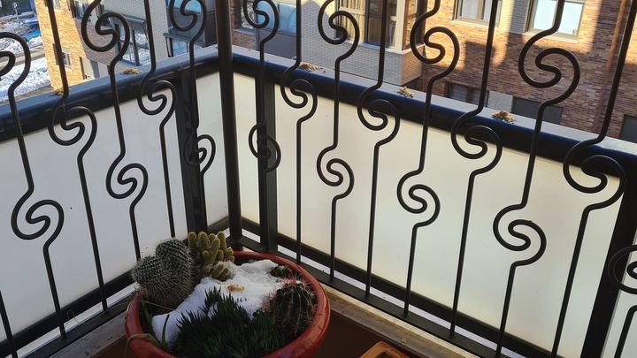 Alimento para las aves en una terraza de Rivas Vaciamadrid / @fermisan68