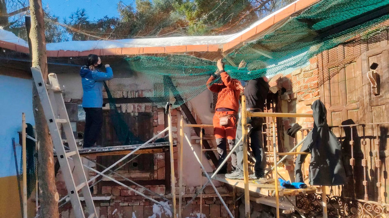 La borrasca Filomena provoca graves daños en el centro de recuperación de aves de GREFA