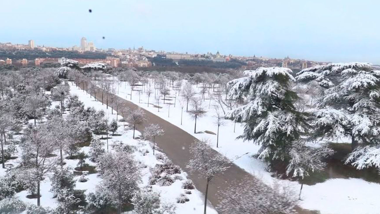 Buenos Días Madrid 13.01.2021 (8.00 - 9.00)