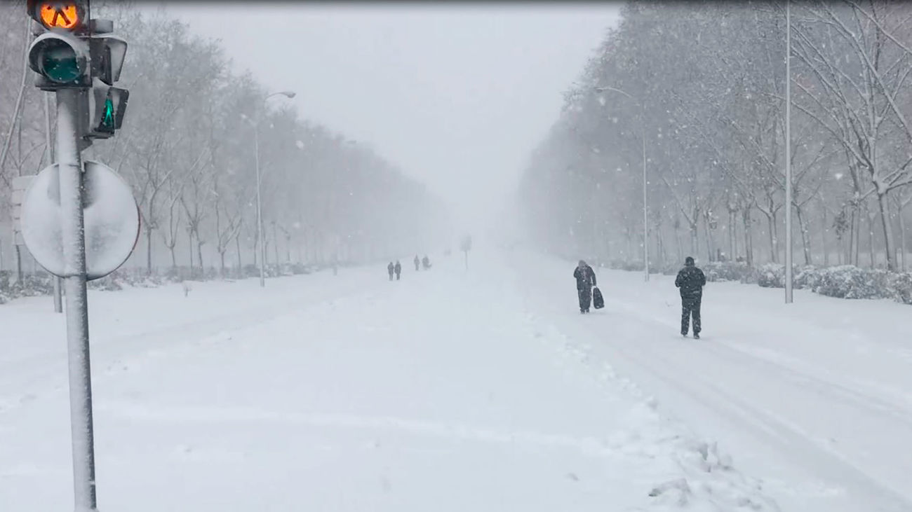 Mi cámara y yo: La nevada del siglo
