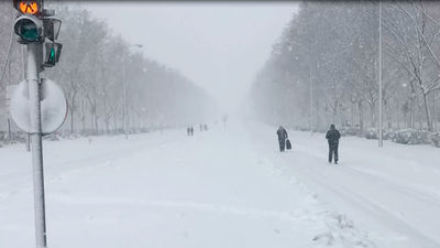 Mi cámara y yo: La nevada del siglo