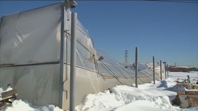 La declaración de zona catastrófica incluye ayudas, moratorias y préstamos, pero no indemnizaciones