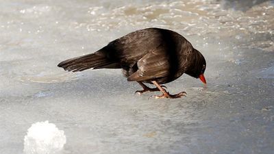 Buenos Días Madrid 14.01.2021 (9.00 - 10.30)