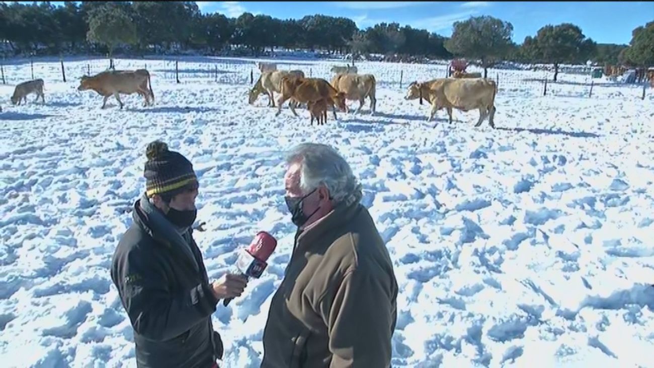 120 minutos 14.01.2021 (Parte 1)