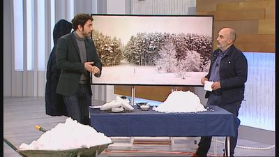 Analizamos junto a un experto cuándo desaparecerá la nieve en Madrid