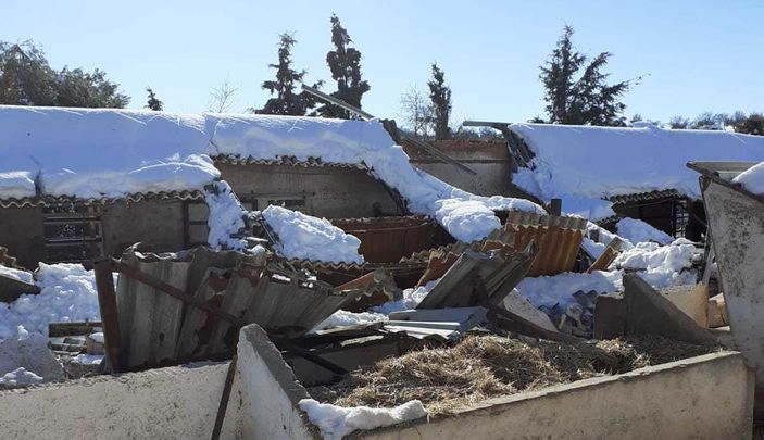 Derrumbe de una explotación ganadera en Brea de Tajo / AYTO BREA DE TAJO