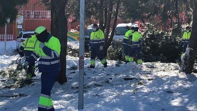 Los padres de San Fernando colaboran para la reapertura de los colegios