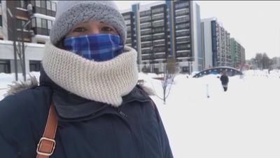 Cómo conviven con el frío y la nieve los madrileños por el mundo