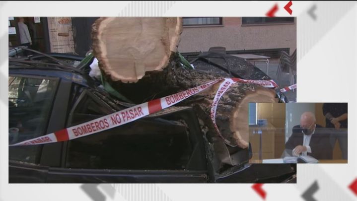 Un coche sepultado por un árbol / Telemadrid