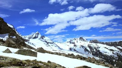 Escena del documental 'El mundo más maravilloso: la vida en los límites alpinos'