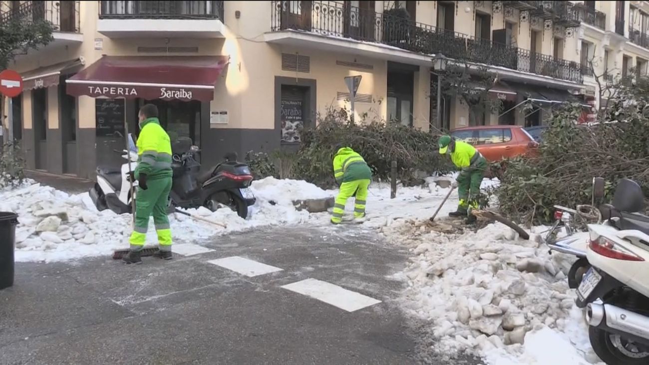 La arboleda de la calle Fuencarral, la zona más afectada por el paso de  Filomena