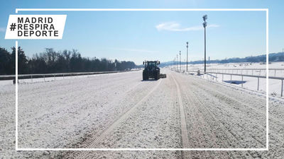Los efectos de Filomena retrasan una semana las carreras en el Hipódromo de La Zarzuela