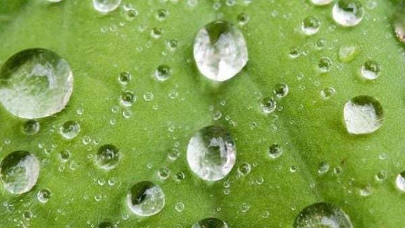 Curiosidades y anécdotas de la meteorología, contadas por una experta