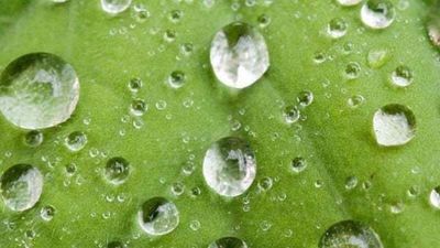 Curiosidades y anécdotas de la meteorología, contadas por una experta