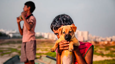 El instinto de supervivencia en animales y seres humanos