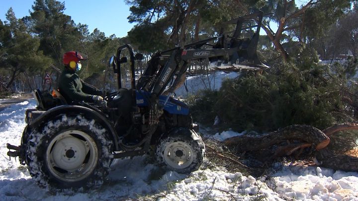 Operarios municipales retiran troncos y ramas caídas en la Casa de Campo / EUROPA PRESS