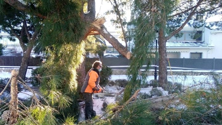 Retirada de ramas y troncos en un parque de Sevilla la Nueva / AYTO SEVILLA LA NUEVA