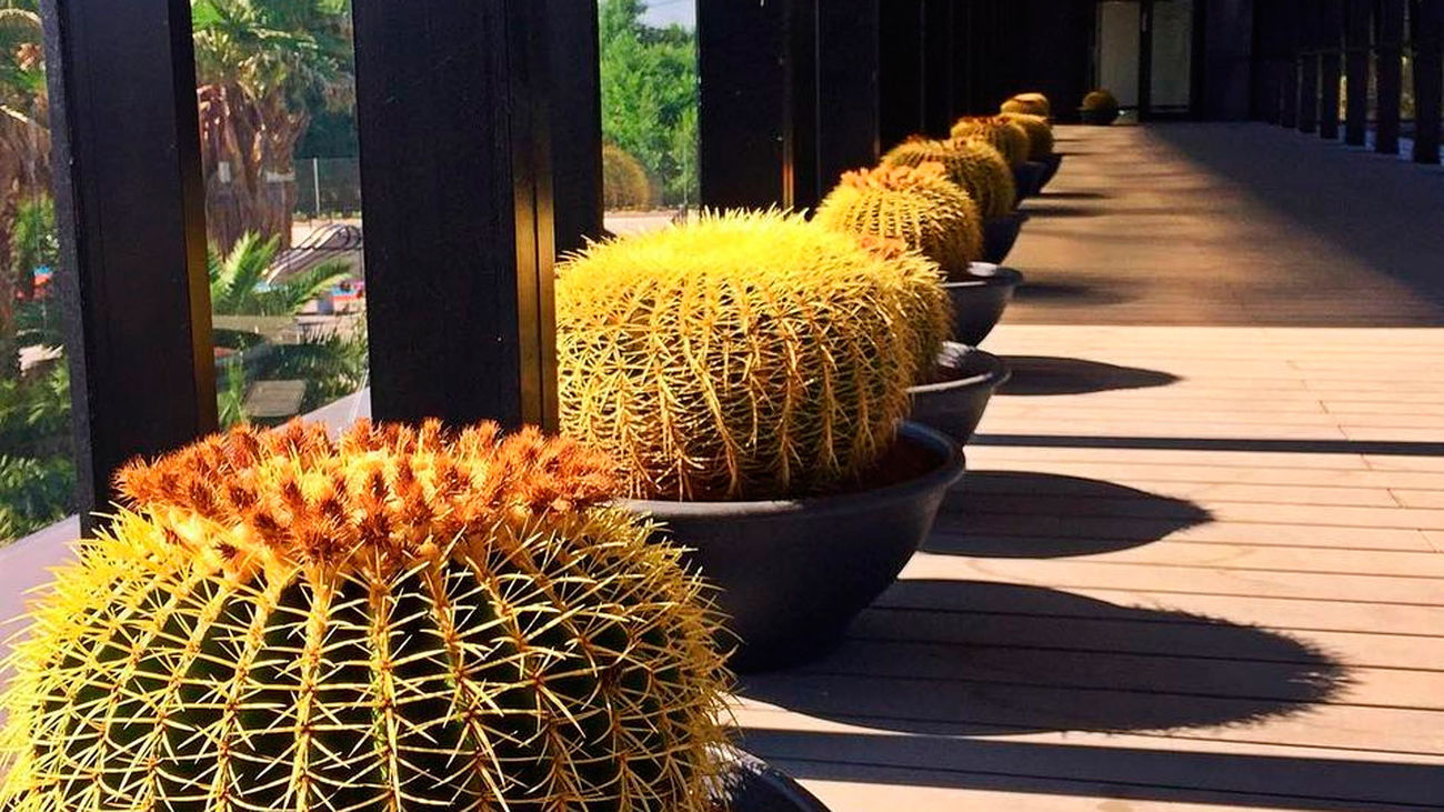 Tres refugios en Madrid frente al frío