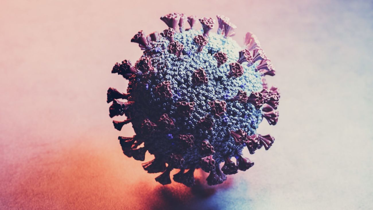 La vacuna del CSIC para la COVID muestra una eficacia del 100% en ratones