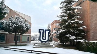 Un grupo coordinado por el Doctor Ángel Ayuso desarrolla un método para erradicar el glioblastoma