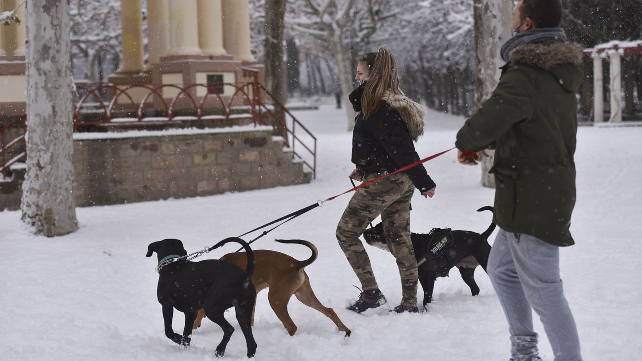 Vecinos de Morata de Tajuña plantean crear un registro de ADN canino para perseguir a los dueños incívicos