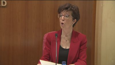 Madrid ofreció su colaboración para derribar la trama de pasaportes covid falsos