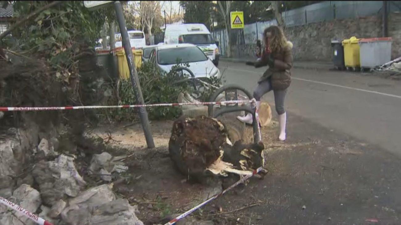 El viento genera problemas en Madrid con árboles caídos en las aceras y tejados y muros derrumbados