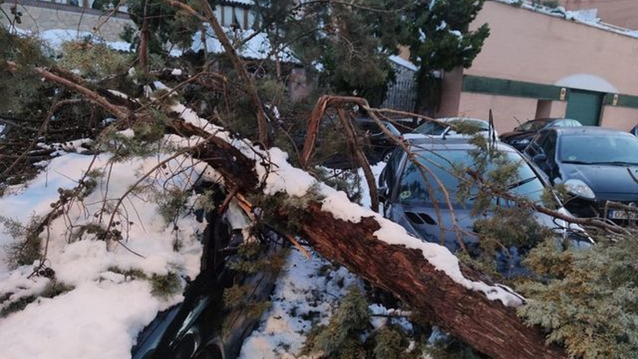 Árbol caído sobre varios vehículos en una calle de Valdemoro