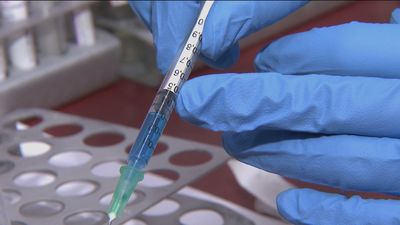 Jeringuillas "sin espacio vacío" para la vacuna de Pfizer