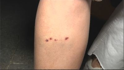 Okupas conflictivos en Pozuelo de Alarcón