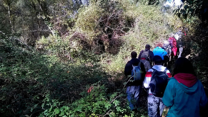 Grupo de senderistas abriéndose camino a través de la vegetación / PO