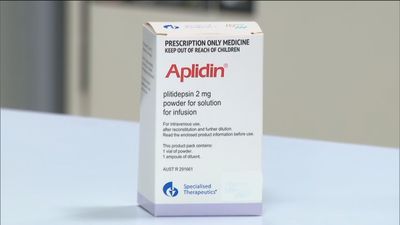 Un medicamento español reduce casi al 100% la carga viral del coronavirus