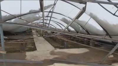 Agricultores y ganaderos de Madrid, decepcionados con las ayudas por la borrasca Filomena