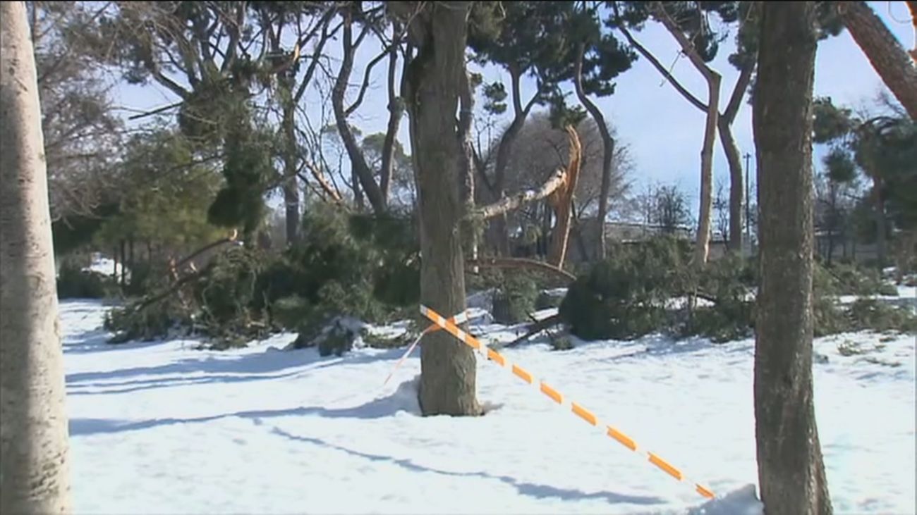 Comportamientos temerarios en algunos parques precintados de Madrid