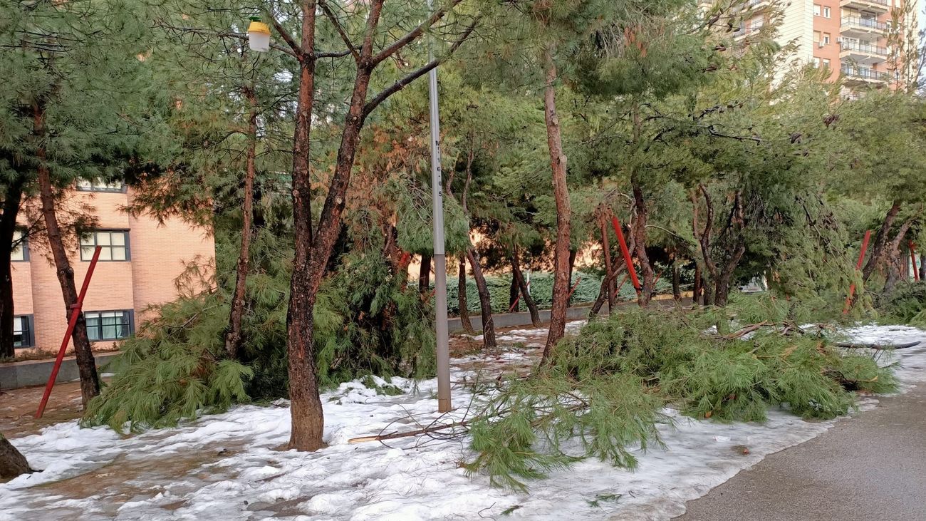 Estas son las cuentas de los daños en los municipios de Madrid dos semanas después de la nevada