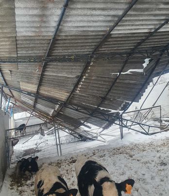 Nave de ganado con el techo caído a causa de la borrasca Filomena / UGAMA