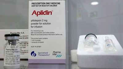 Aplidin, el medicamento que para "la fotocopiadora" del coronavirus