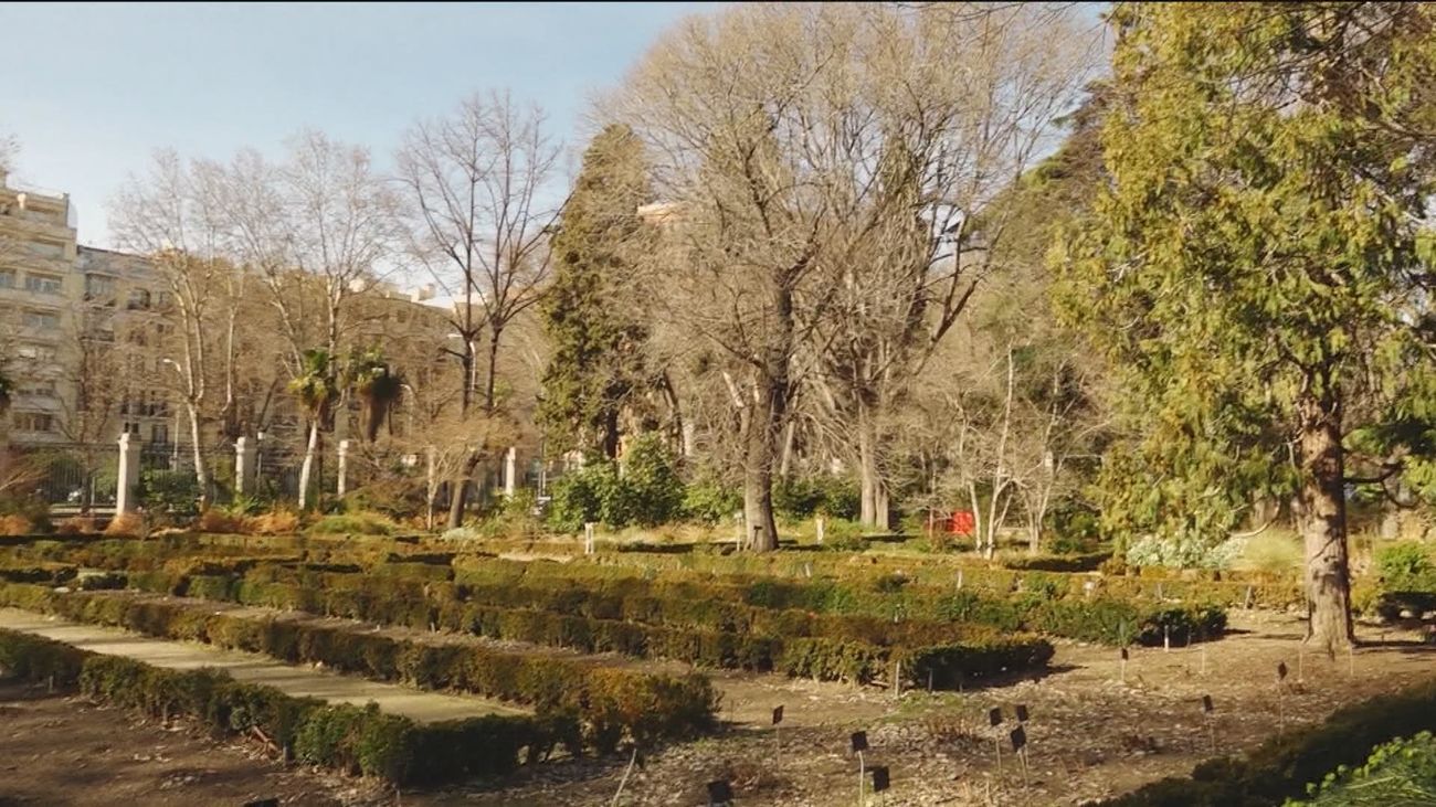 El Real Jardín Botánico reabre sus puertas este jueves